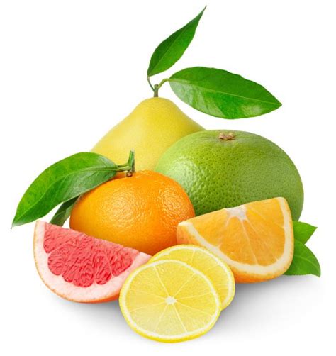 Citrus Fruits — Stock Photo © Photomaru 7911395
