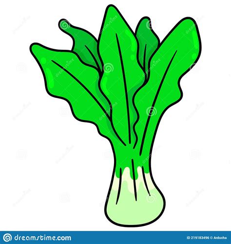 Lush Green Leafy Lettuce Greens Doodle Icon Drawing Stock Vector