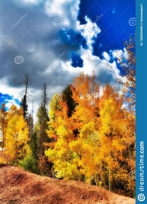 Autumn Beauty With Blazing Aspens Along The Front Range Of The Rockies