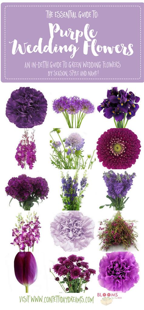 Your favorite blooms — from roses and peonies to lilies and daisies — send. Complete Guide to Purple Wedding Flowers, Purple Flower ...