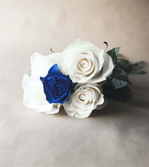 10 Blue Rose Spiritual Meanings What Does A Blue Rose Mean