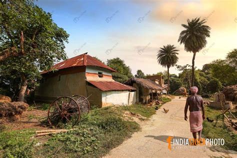 Rural Man Walking Along Unpaved Village Road India Stock Photo