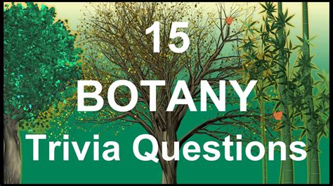 15 Botany Trivia Questions Trivia Questions And Answers Youtube