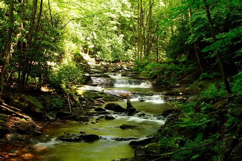 Seneca Creek Stream Creeks And Streams Free Nature Pictures By