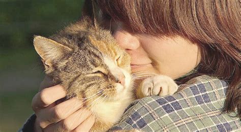 I Gatti Sono In Grado Di Riconoscere Le Emozioni Umane E Di Provare