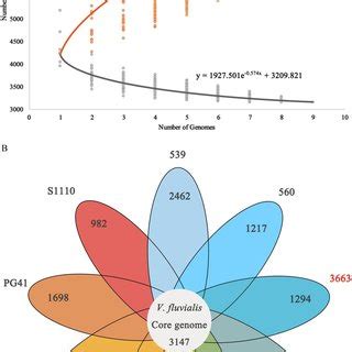 Comparative genomic analysis of V.fluvialis strains. (A)Pan-genome and ...
