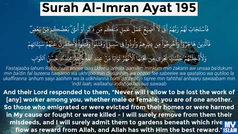Surah Al Imran Ayat 195 3 195 Quran With Tafsir My Islam
