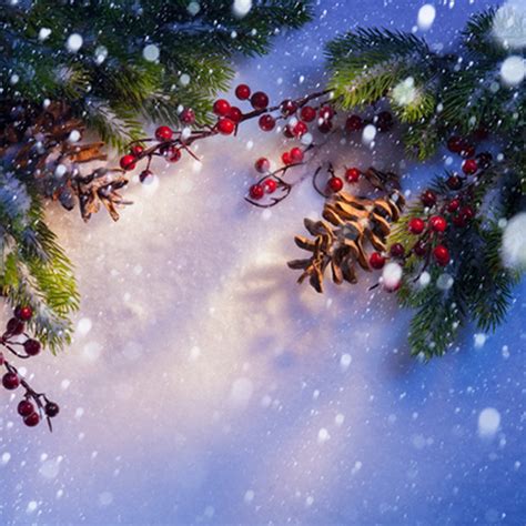 All of these christmas background images and vectors have high resolution and can be used as banners, posters or wallpapers free christmas background photos. Attractive Christmas Photography Background Fashion ...