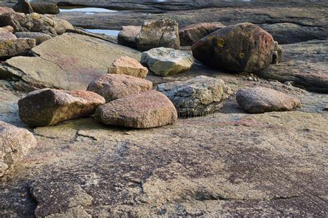 Exposed Rocks At Low Tide On The Maine Coast Stock Photo Image Of