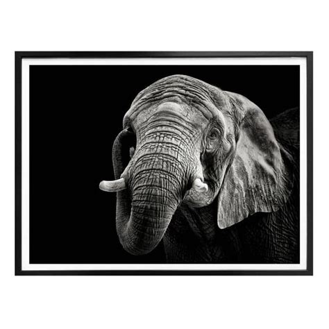 Poster Meermann Der Elefant Wall Art De Elephant Canvas Art