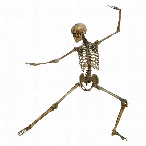 Sint Tico Foto Imagen De Un Esqueleto Humano Mirada Tensa