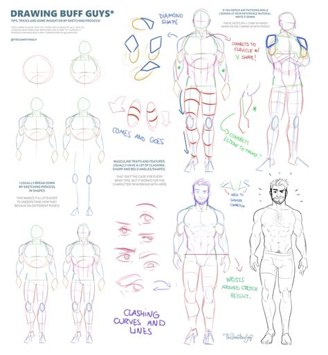 male anatomy tips by thedamn thinguy body drawing tutorial basic drawing drawing tutorial