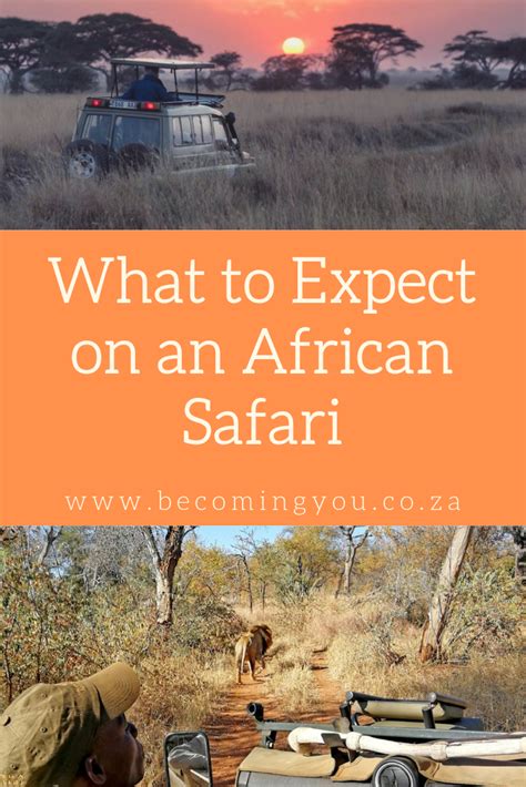 Safari Tips What To Expect On Your First South African Safari South