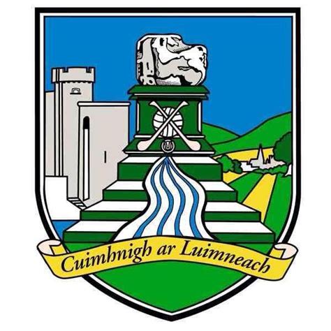 Limerick Win All Ireland 3 16 To Galway 2 15 Luimneach Abú Limerick