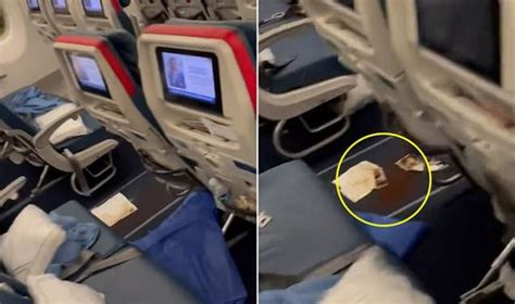 Footage Shows Aftermath Of Flight U Turned By Explosive Diarrhea