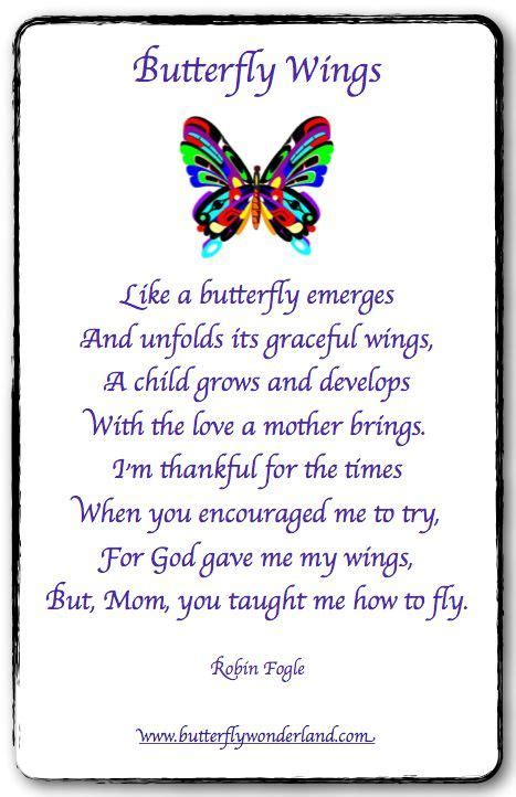 baptism  butterflies poem google search butterfly quotes