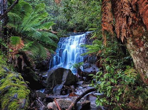 Waterfall Stones Forest Moss Hd Wallpaper Peakpx