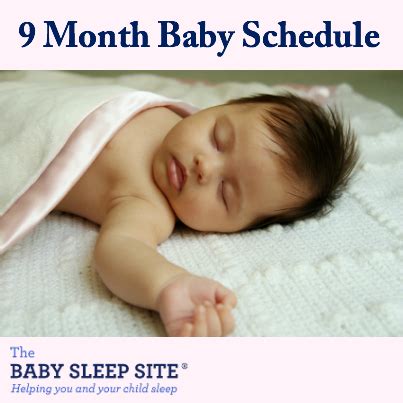 Breast or infant formula milk (around 4oz) lunchtime: 9 Month Old Baby Schedule | The Baby Sleep Site - Baby ...