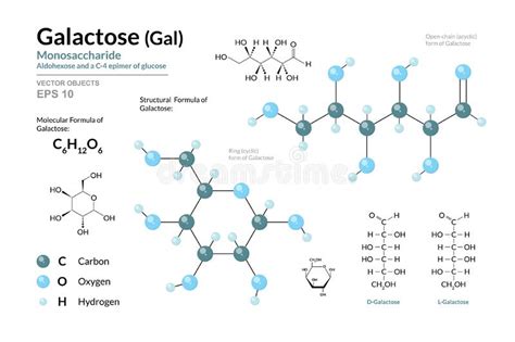 Galactose Gal Monosaccharide Structural Chemical Formula And