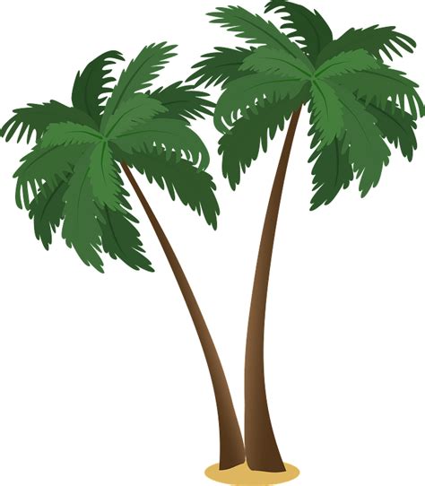 Palm Trees Large Png Clip Art Image Palm Tree Clip Art Beautiful My