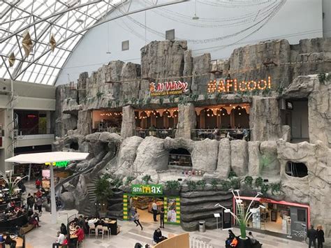 Afi cotroceni este un centru comercial din bucurești care a fost inaugurat la 29 octombrie 2009, fiind în prezent cel mai mare mall din românia1. AFI Cotroceni (Bucarest) - 2020 Qué saber antes de ir - Lo ...