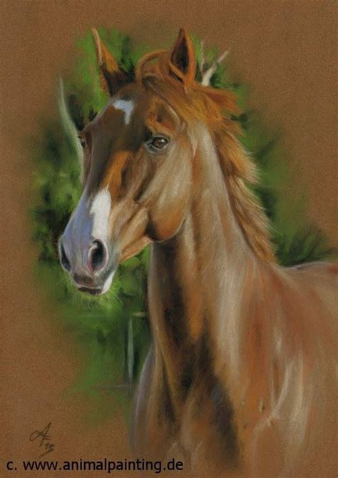 Pastel Horse Drawing By Angela Franke Pastel Artwork Pastel Painting