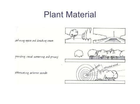 Plant Material | Analysis, Site
