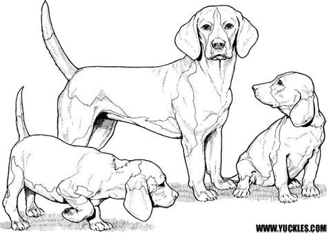 Free beagle coloring pages to print for kids. Beagle Coloring Page | Desenhos, Animais de estimação ...