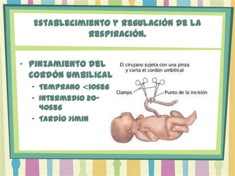 Atencion Inmediata En Recien Nacidos