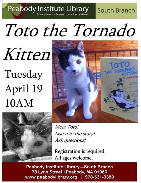 Meet Toto The Tornado Kitten At The South Branch Peabody Ma Patch