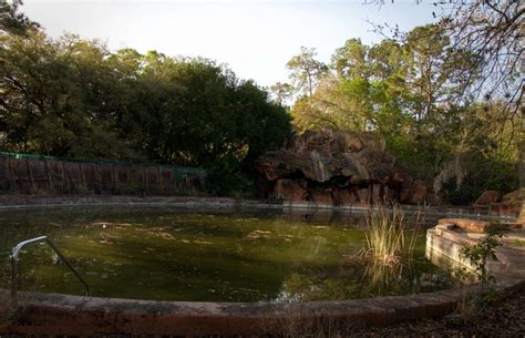 Photos Give An Inside Look Into A Creepy Abandoned Disney Water Park