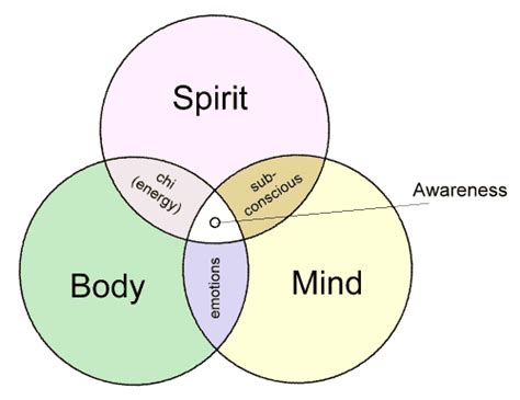 Philosopher At Large Body Mind Spirit