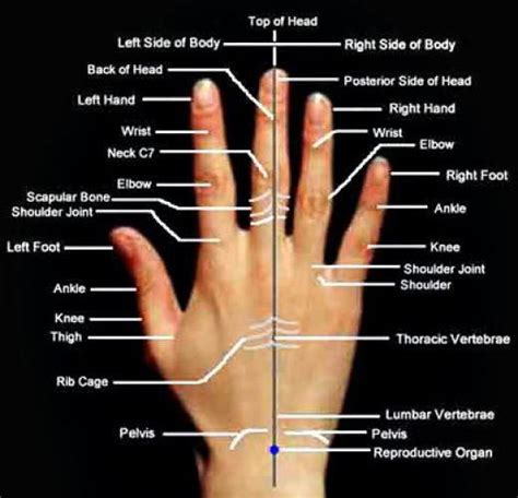 Accupressure Points In Your Hand Work With These For The Issues You Are Dealing With For With