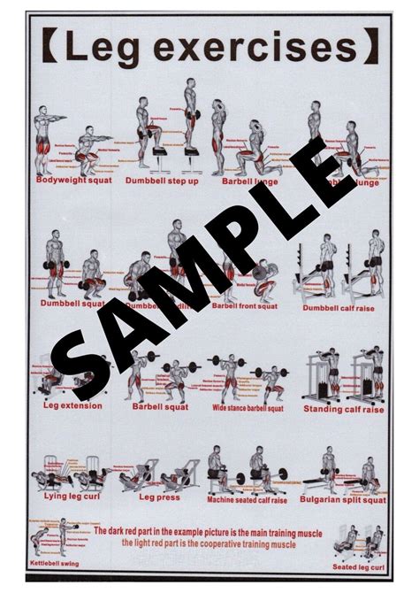 Leg Exercise And Muscle Masculine Chart Digital Download Wall Etsy