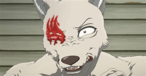 Episodes 9 10 Beastars Season 2 Anime Insane