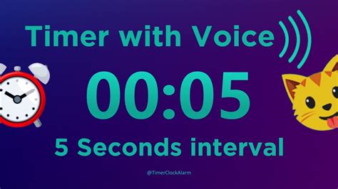 Timer With Voice Interval Timer 5 Sec No Breaks Stopwatch 60 Minute