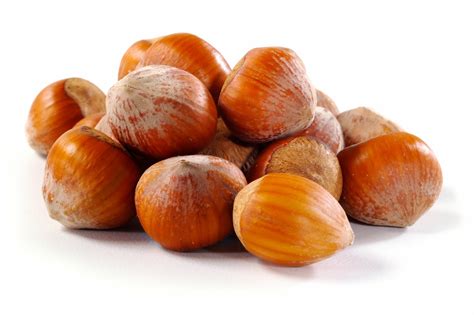 Hazelnuts Filberts In Shell By The Pound