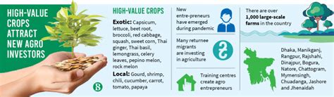 High Value Crops New Agro Trend Sees Success In Pandemic