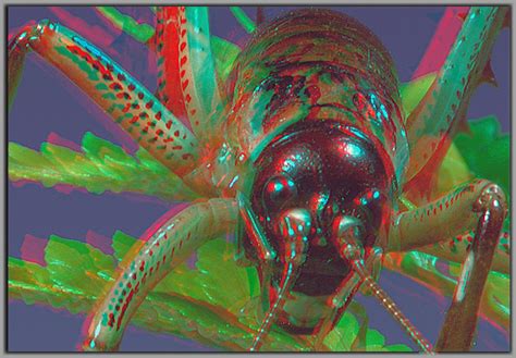 Weta Red Cyan Anaglyph D A Photo On Flickriver