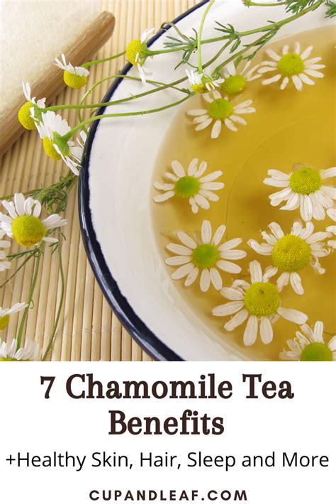 7 Chamomile Tea Benefits Healthy Skin Hair Sleep And More