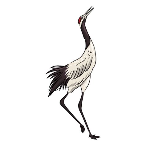 Tall Crane Bird Transparent Png And Svg Vector File