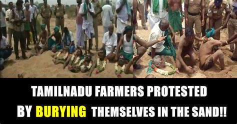 Tn Farmers Protested By Burying Themselves In Sand Know What Chief