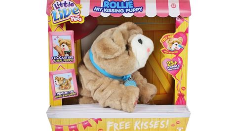 Little Live Pets Rollie My Kissing Puppy Unboxing Toy Review Youtube