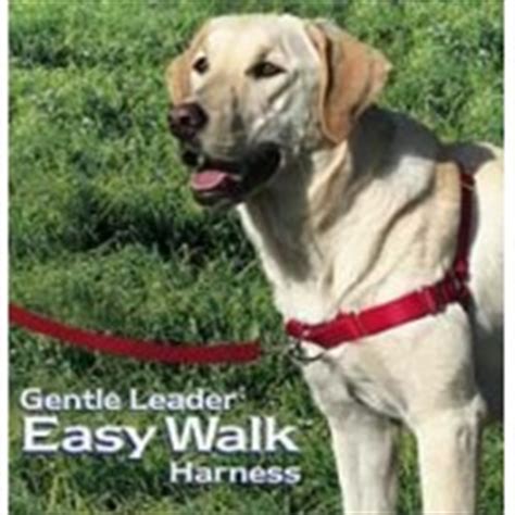 Maybe you would like to learn more about one of these? Gentle Leader Easy Walk Harness | Dog Walking Aid