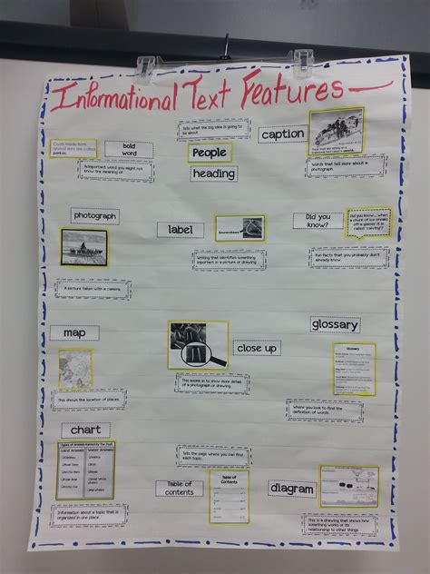 Informational Text Features Poster Text Features Posters Bold Words