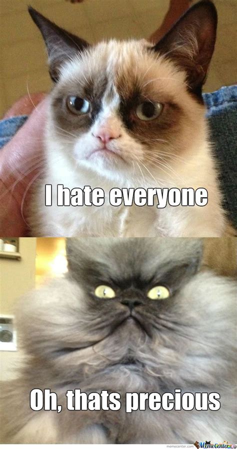 Colonel Meow Is Not Amused Meme Center Funny Animal Pictures Best