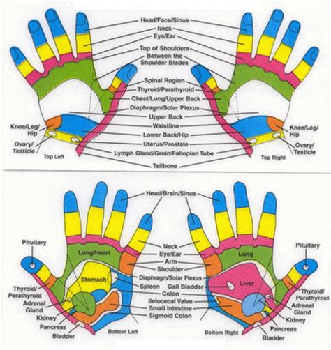 Hand Pressure Point Map Hand Reflexology You Can Have It All In The Palm Of Your Hand I Luv