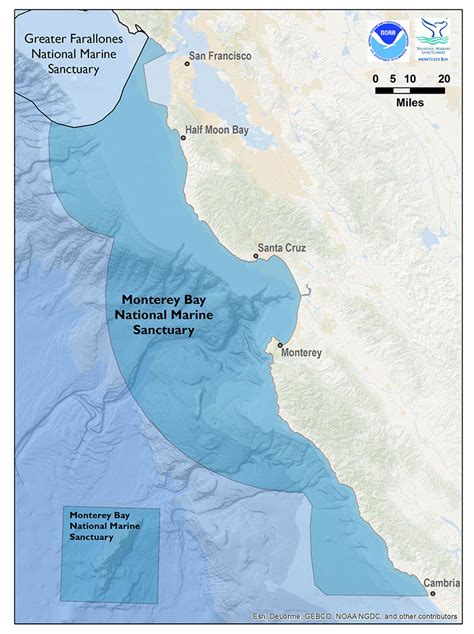 Monterey Bay 2015 Condition Report Update Davidson Seamount Office