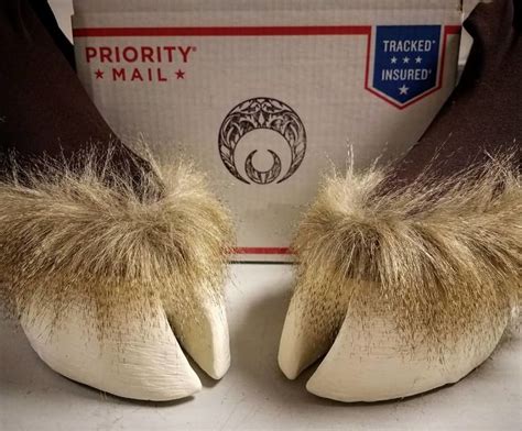 Artist Creates Shoes And Boots In The Shape Of Animal Hooves And The