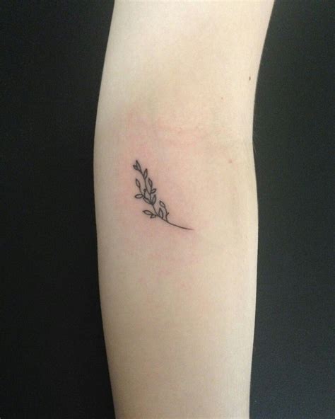 49 Beautiful Olive Branch Tattoo Designs And Meaning For 2023
